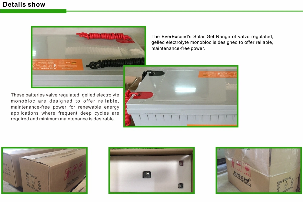 Everexceed Solar Gel Range Communication/Lighting/ Solar/ 12V100ah VRLA Battery